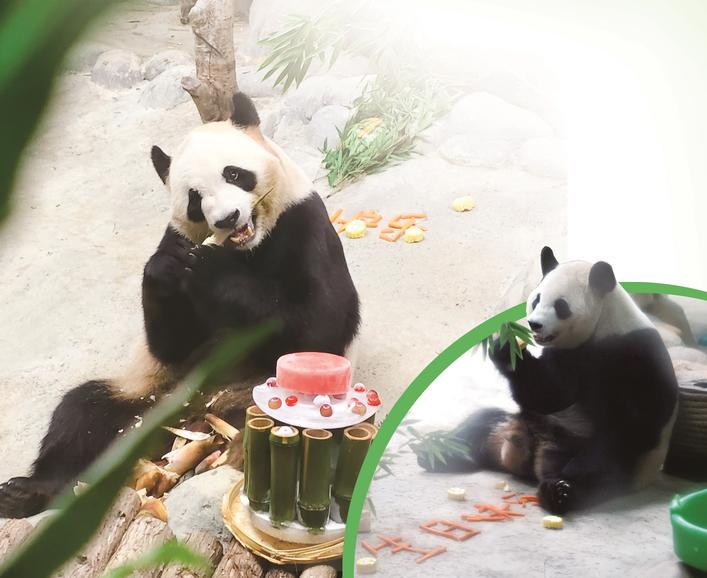 微信图片_20250811083314.png