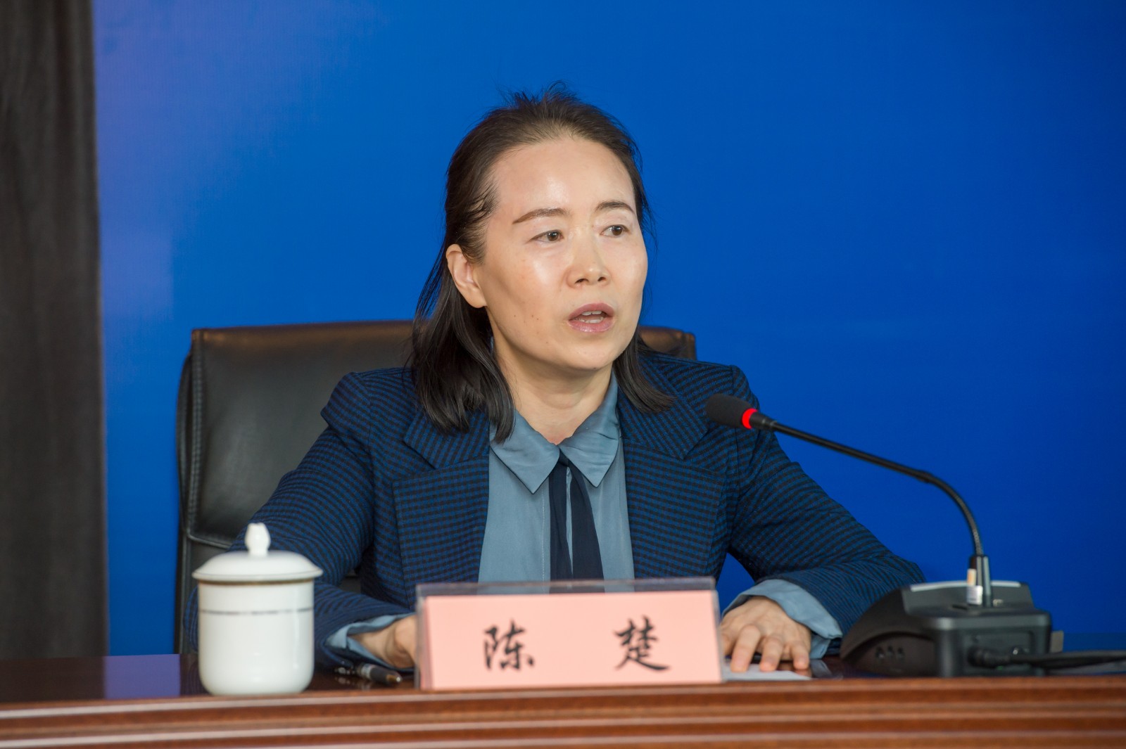 陈楚.jpg