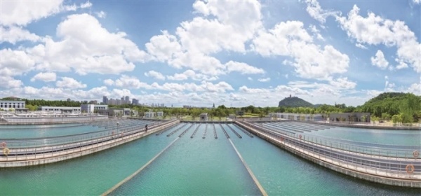 水厂_副本.jpg