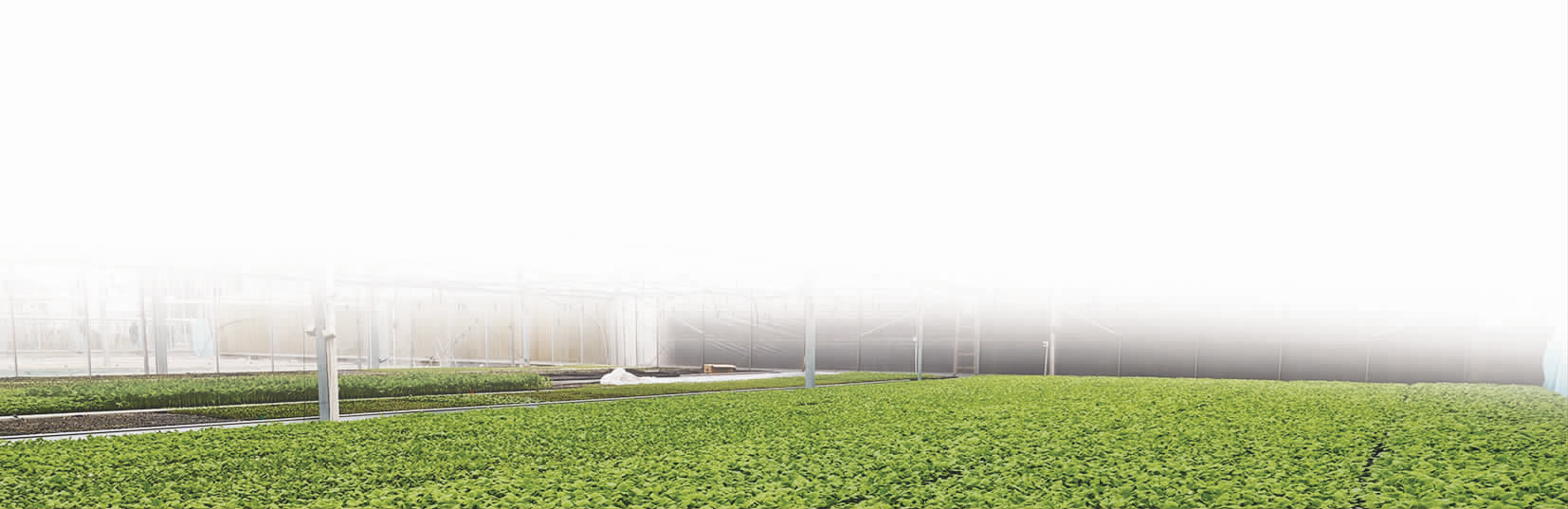 农科所启动春季育苗2.png 农科所启动春季育苗2.png