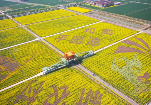 1c65b22b0a381927d06a6167b76ff47f.png 1c65b22b0a381927d06a6167b76ff47f.png