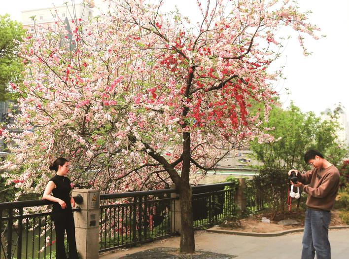 微信图片_20250410081030.png