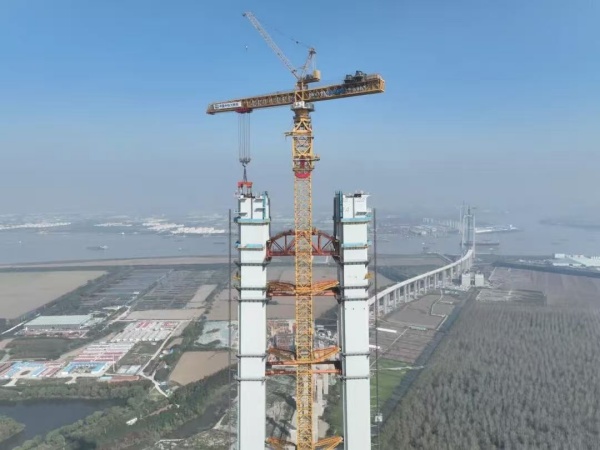 张靖皋长江大桥.jpg 张靖皋长江大桥.jpg