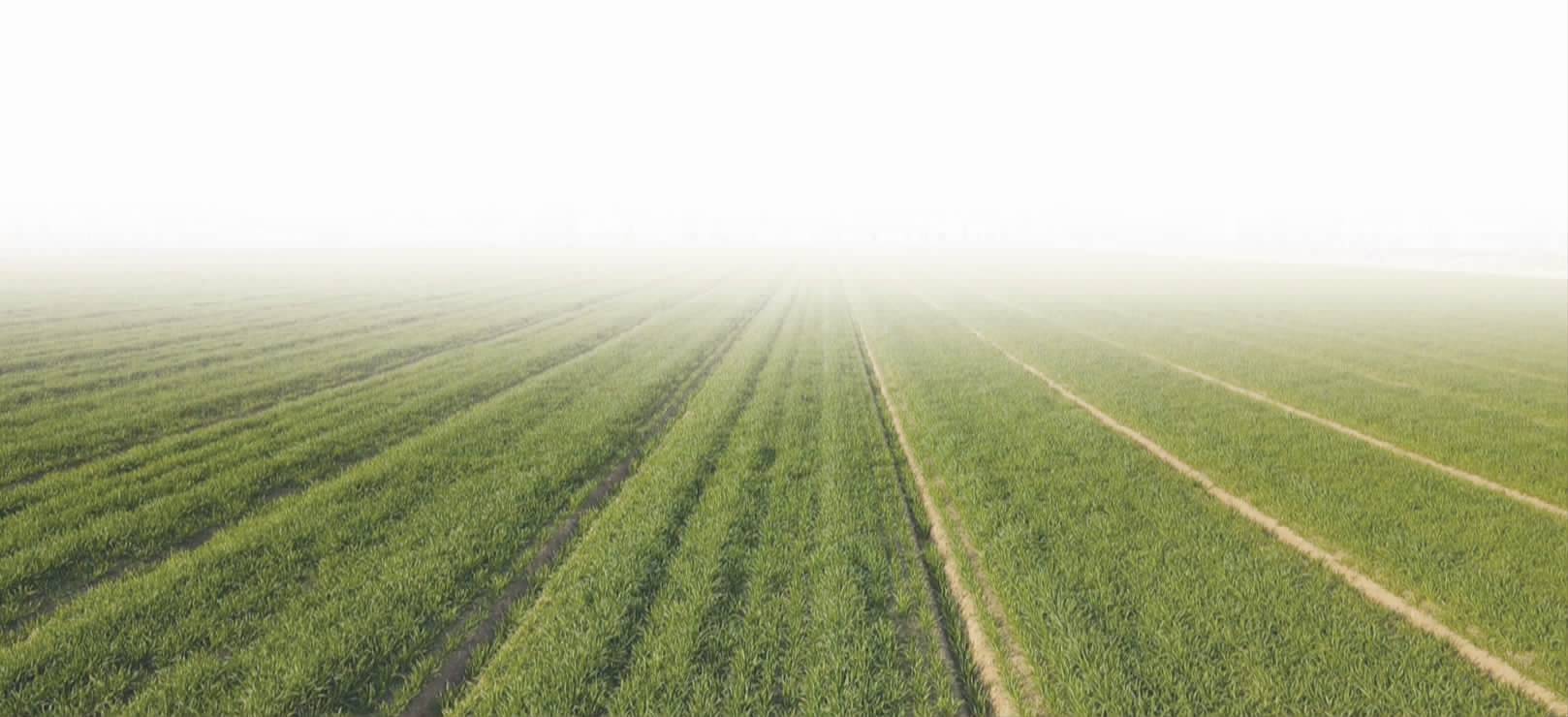 粮安产业兴 沃野绘新景.png