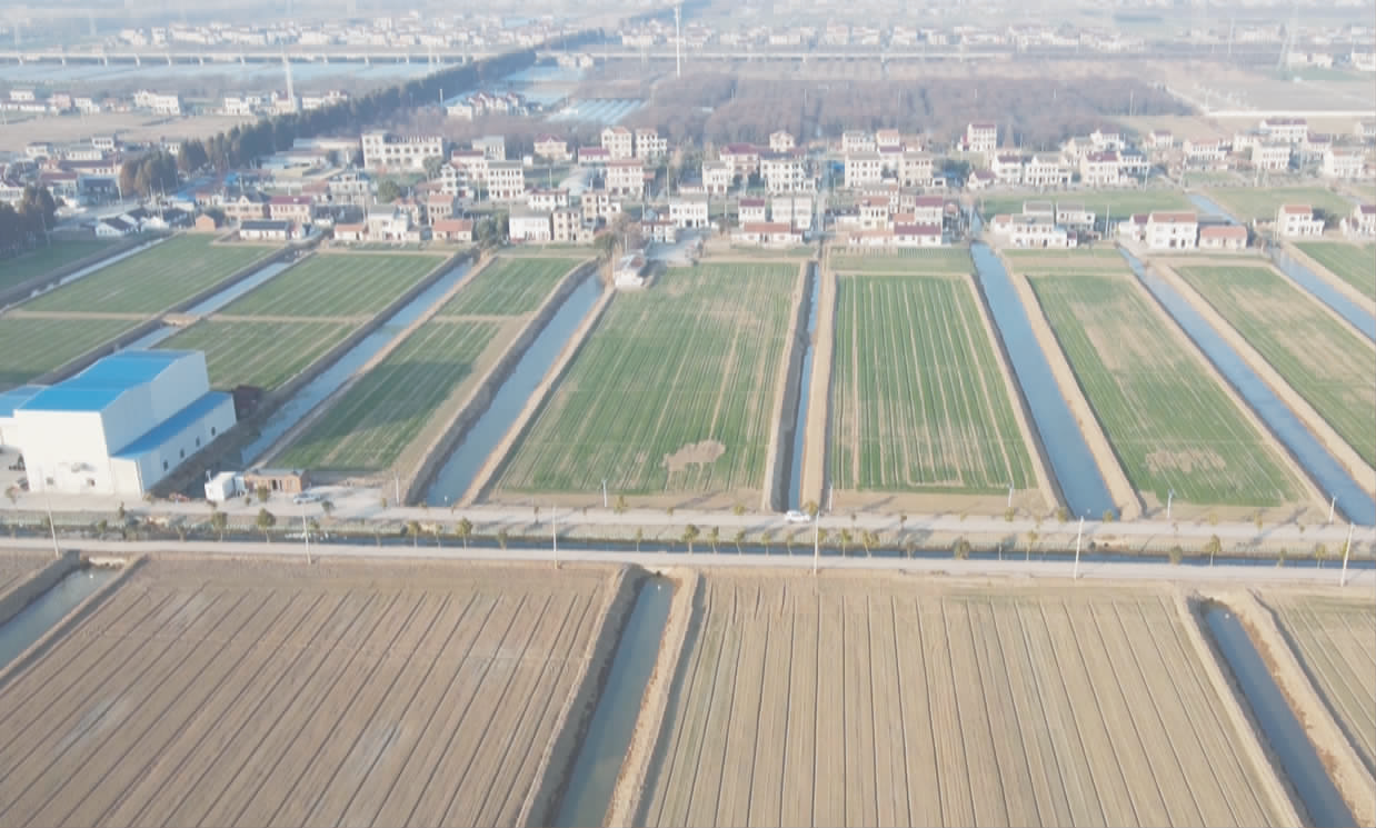 海门高标准农田建设“进度条”拉满.png