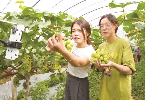 9c3ccea8-75f8-413e-be99-3f0b62e92f5a.jpg_副本.jpg