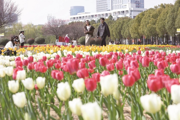 邂逅 春日浪漫.jpg
