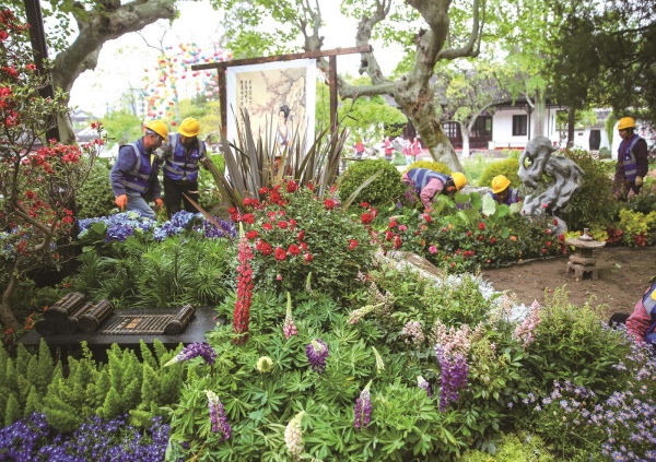 花境大赛.jpg
